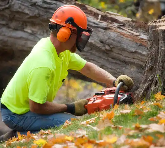 tree services Browns Mills